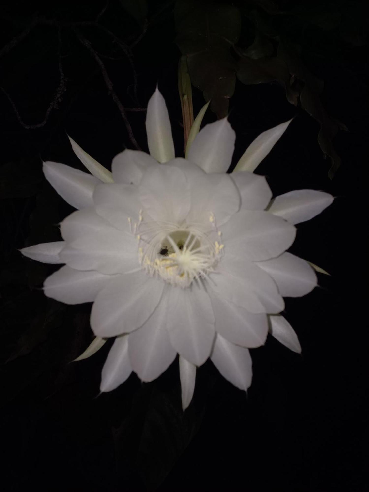 Paraiso Verde Chijou 外观 照片