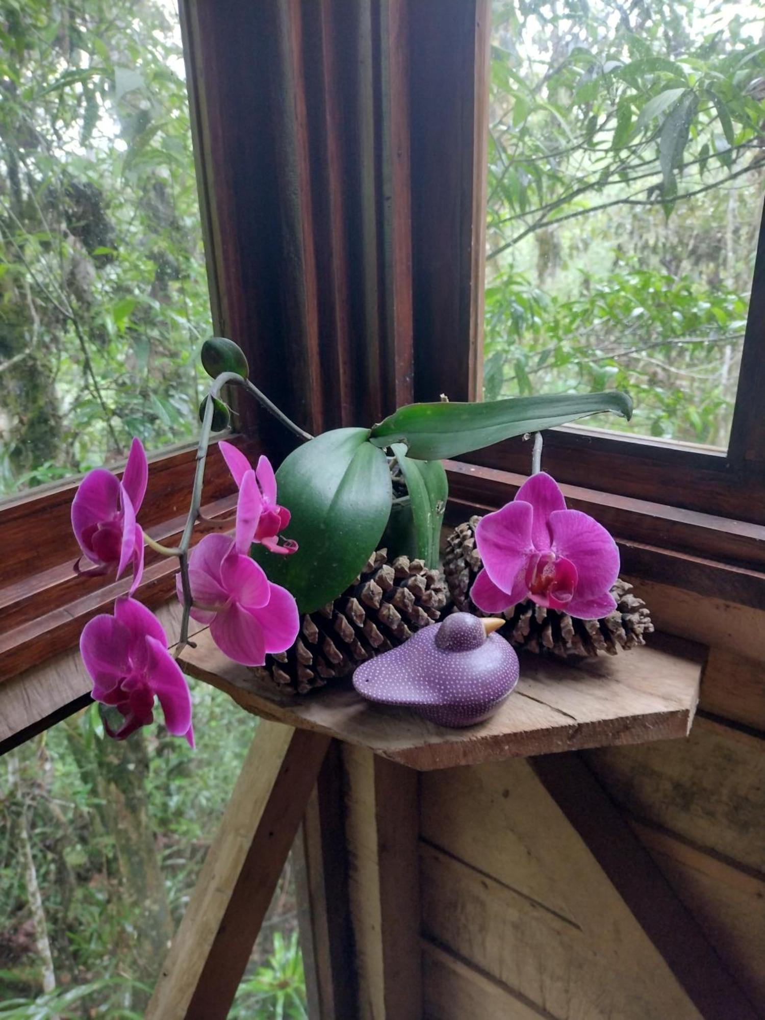 Paraiso Verde Chijou 外观 照片